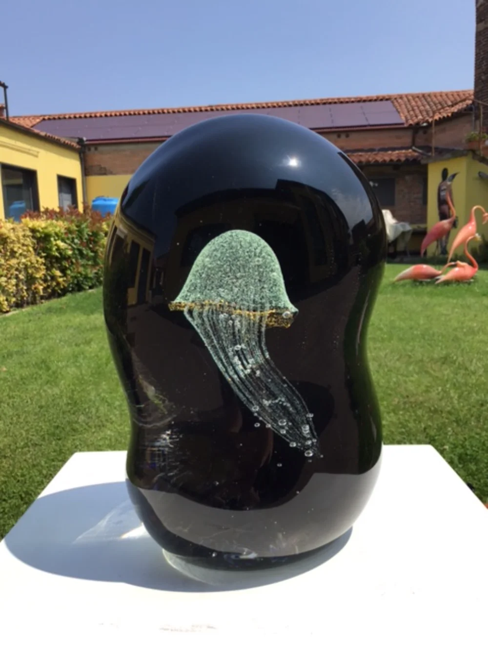 Moon-Lit Medusa in daylight, Murano